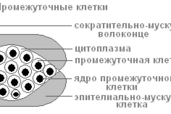 Kraken сайт зеркала krakens15 at