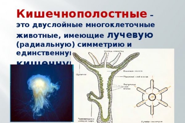 Кракен сайт зеркало рабочее на сегодня